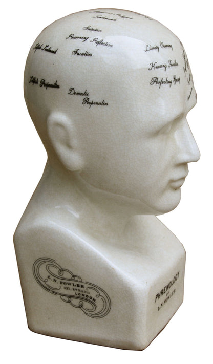 Small Ceramic Phrenology Head 19cm