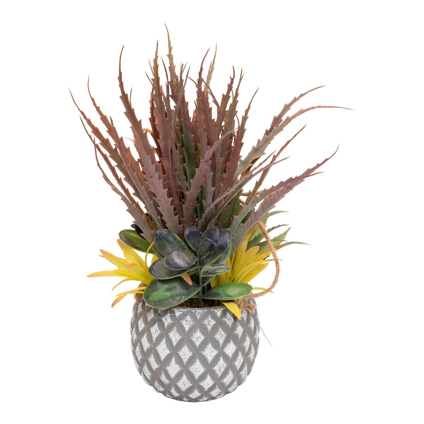 Succulents in Small Lattice Design Grey Pot