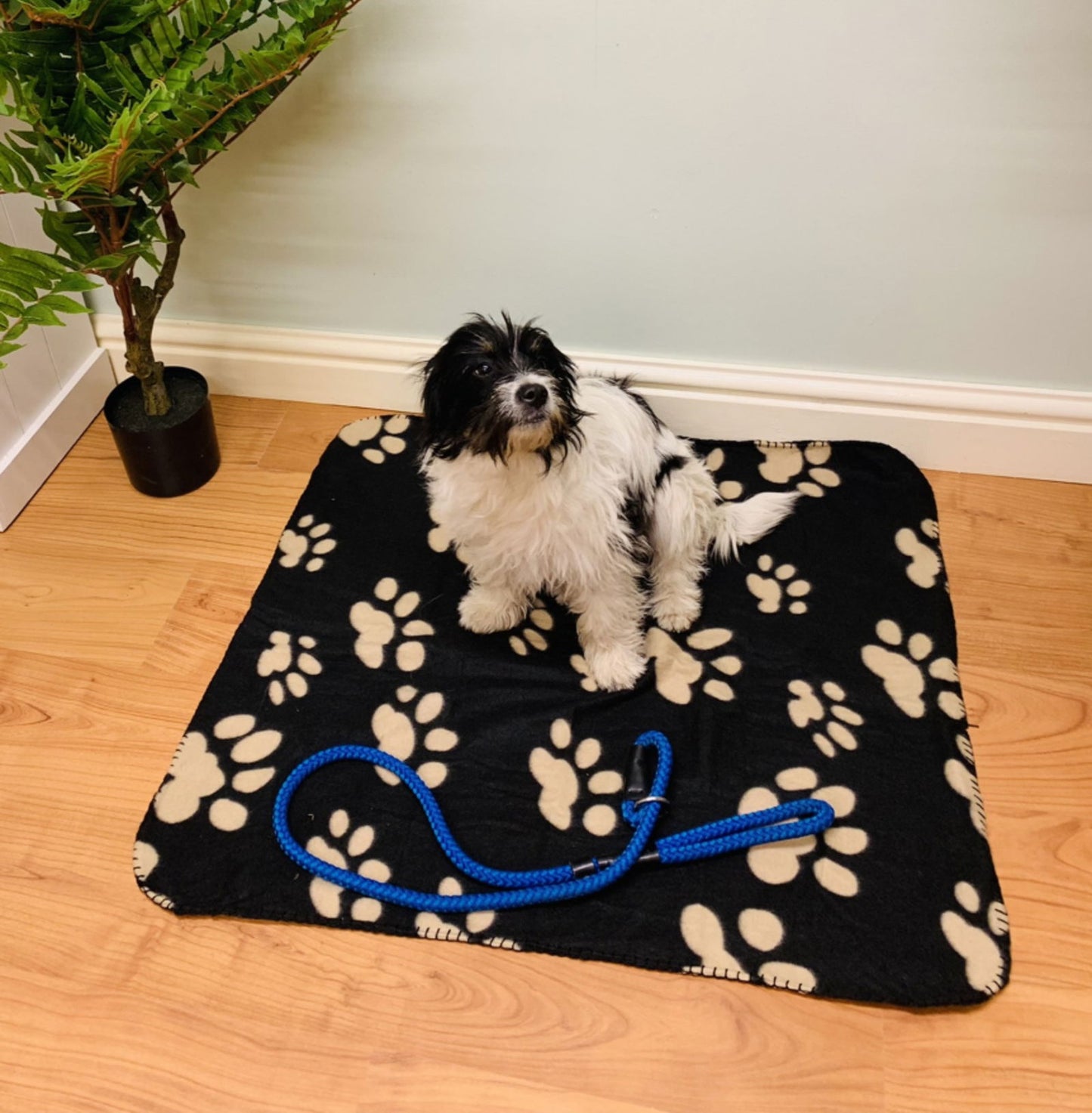 Black Paw Print Fleece Throw 80cm