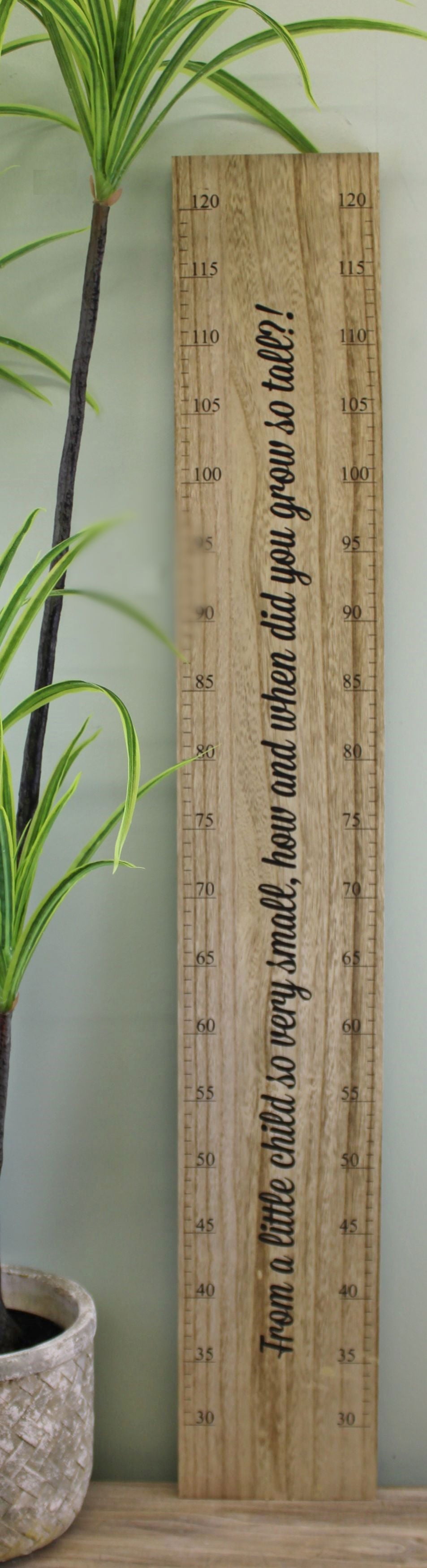 Height Chart Wall Plaque, How Did You Grow So Tall?, 100cm